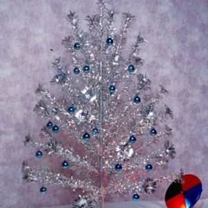 Meet your Posher, Cathy